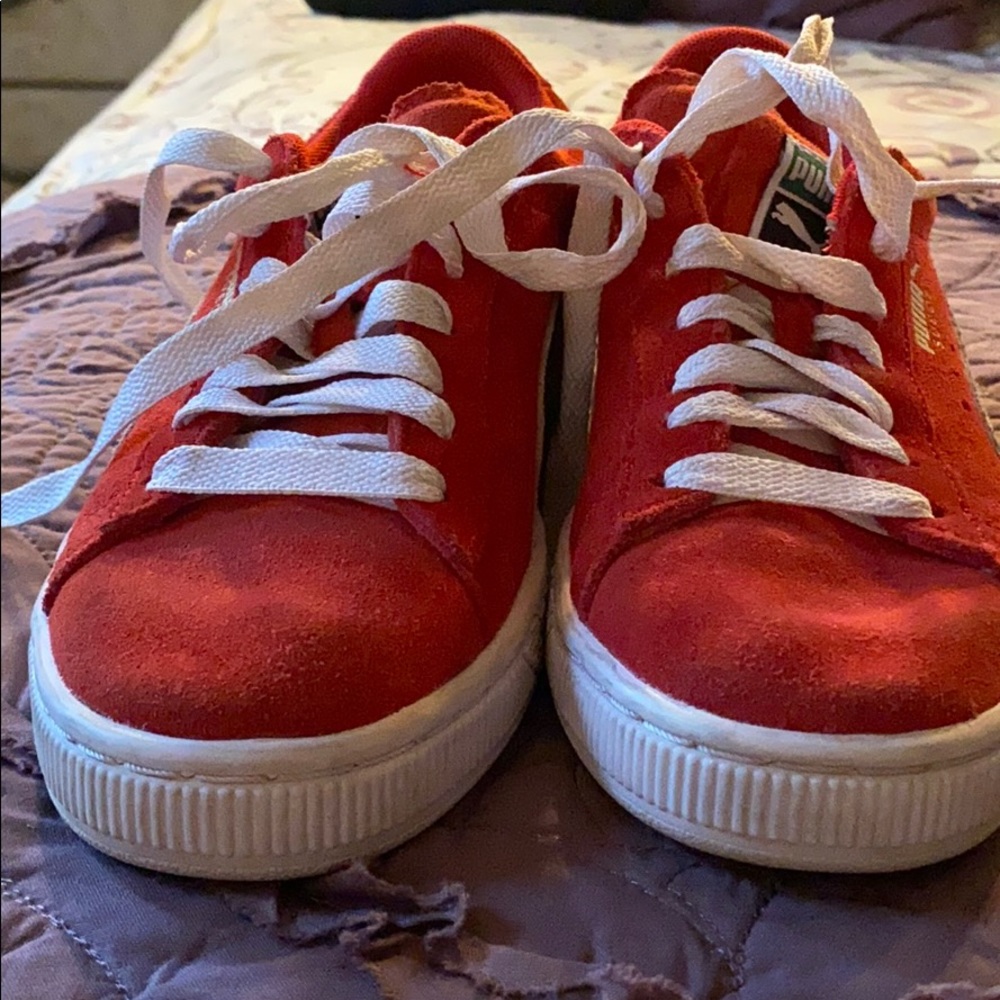 Red pumas - Picture 7 of 7
